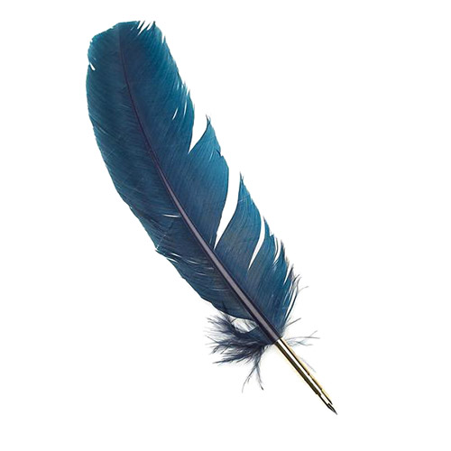 Los sultanes pluma pluma gay lyrics